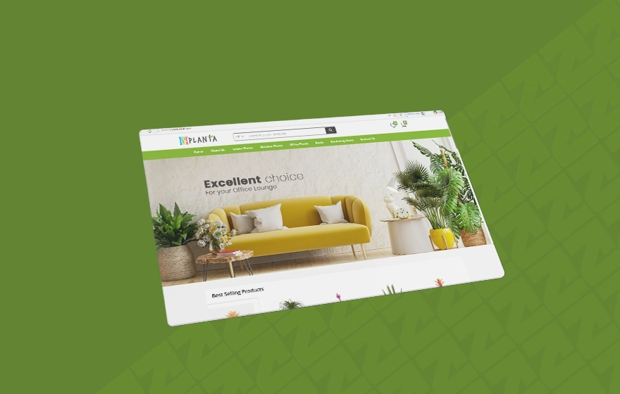 Trusted ecommerce developers in Muscat Oman